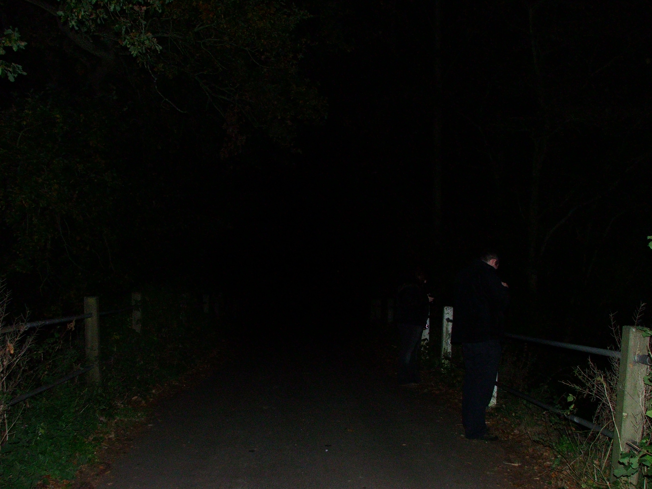 The lane to the church , reported to be the haunt of a horse and carriage.